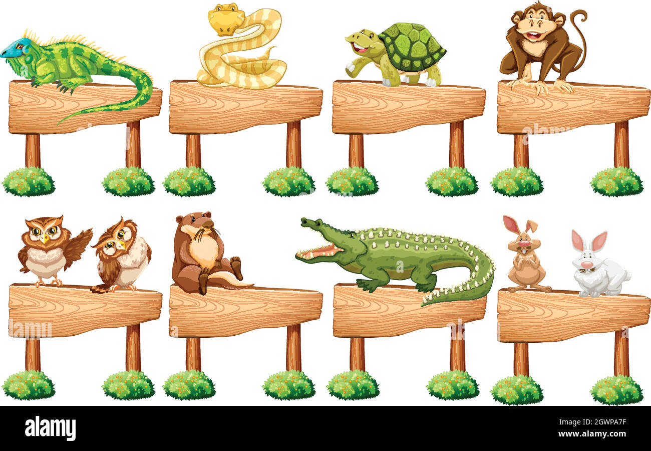 Panneau en bois avec différents animaux sauvages Illustration de Vecteur