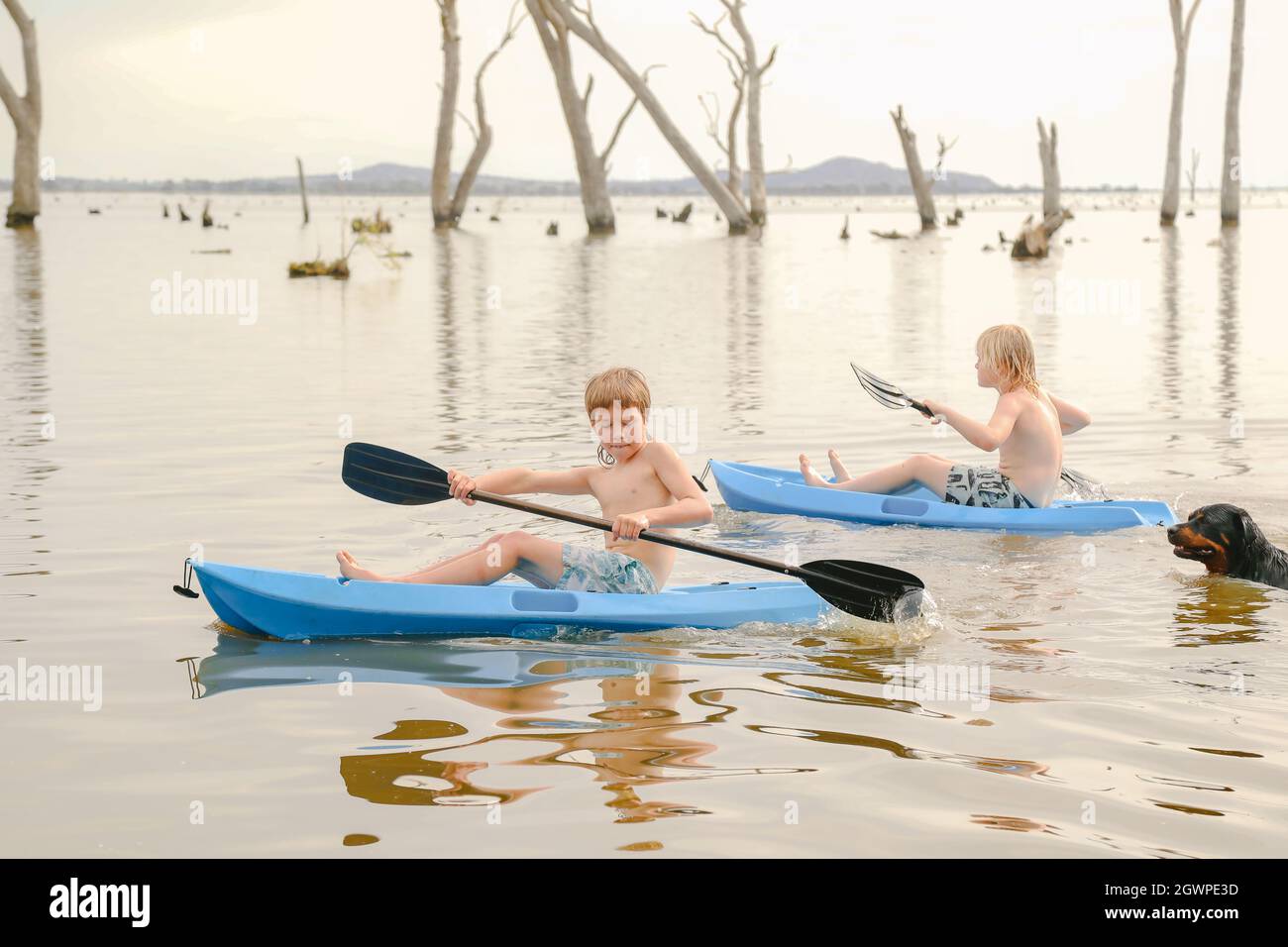 Les enfants font du kayak en été à Kow Swamp Victoria, en Australie Banque D'Images