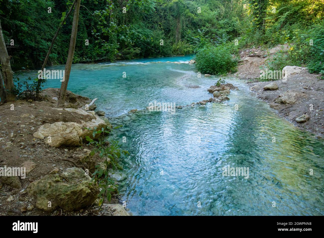 Parco fluviale dell'Elsa, Parc fluvial d'Elsa, Colle Val d'Elsa, Toscane Banque D'Images
