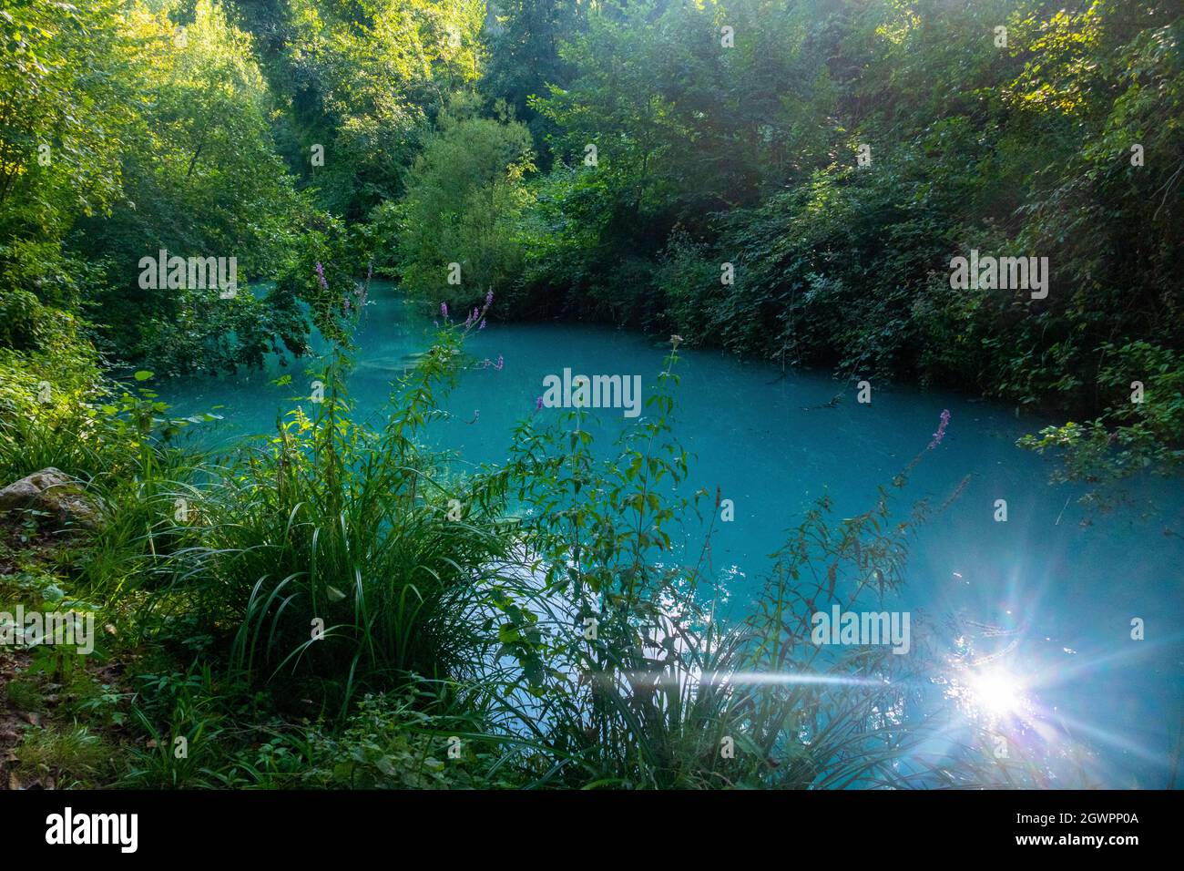 Parco fluviale dell'Elsa, Parc fluvial d'Elsa, Colle Val d'Elsa, Toscane Banque D'Images