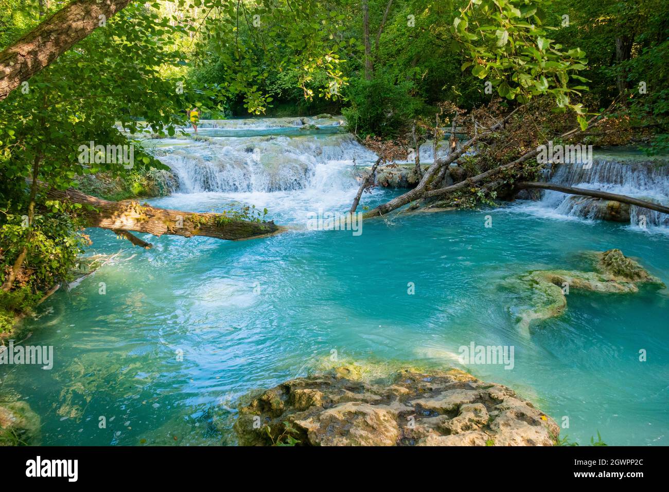 Parco fluviale dell'Elsa, Parc fluvial d'Elsa, Colle Val d'Elsa, Toscane Banque D'Images