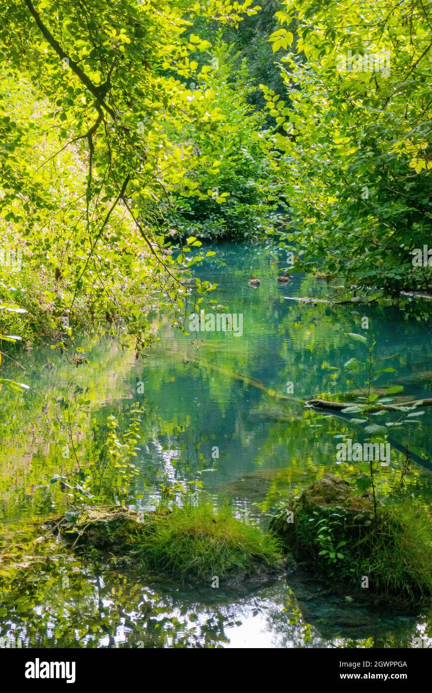 Parco fluviale dell'Elsa, Parc fluvial d'Elsa, Colle Val d'Elsa, Toscane Banque D'Images