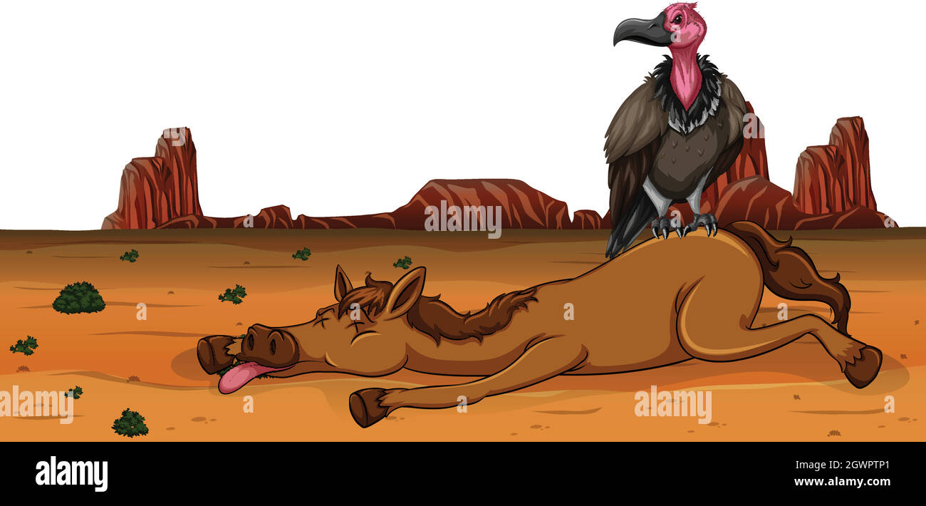 Un vautour sur cheval mort Illustration de Vecteur