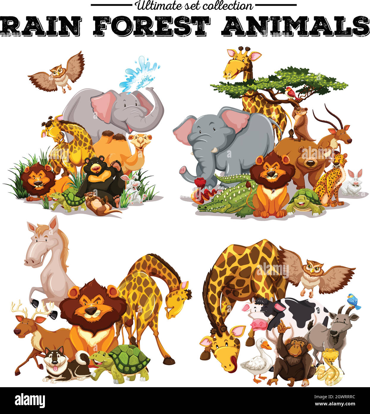 Différents types d'animaux de la forêt tropicale Illustration de Vecteur