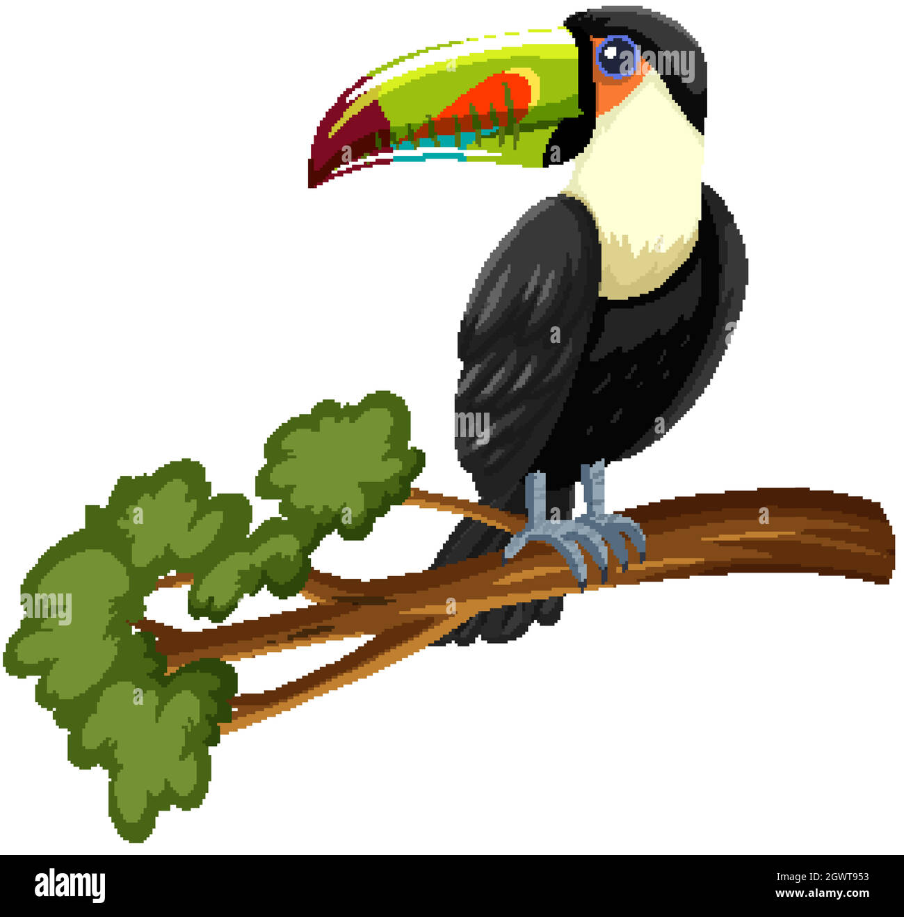 Oiseau Toucan sur une branche isolée sur fond blanc Illustration de Vecteur