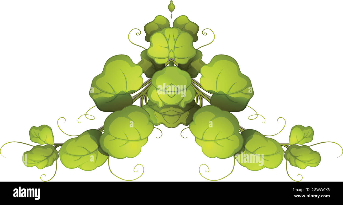 Une plante verte Illustration de Vecteur