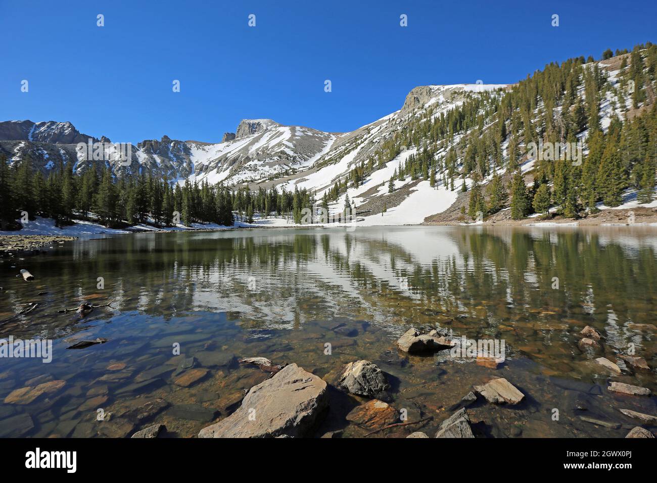 Paysage du lac Stella - Parc national de Great Basin, Nevada Banque D'Images