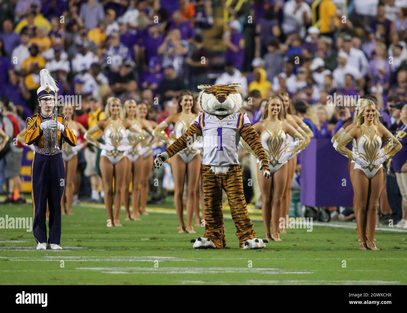 Bâton Rouge, LA, États-Unis. 2 octobre 2021. La mascotte de LSU Mike le Tigre mène le groupe et les Golden Girls sur le terrain pour le pré-match avant le match de football de la NCAA entre les Tigers d'Auburn et les Tigers de LSU au Tiger Stadium de Baton Rouge, LA. Jonathan Mailhes/CSM/Alamy Live News Banque D'Images