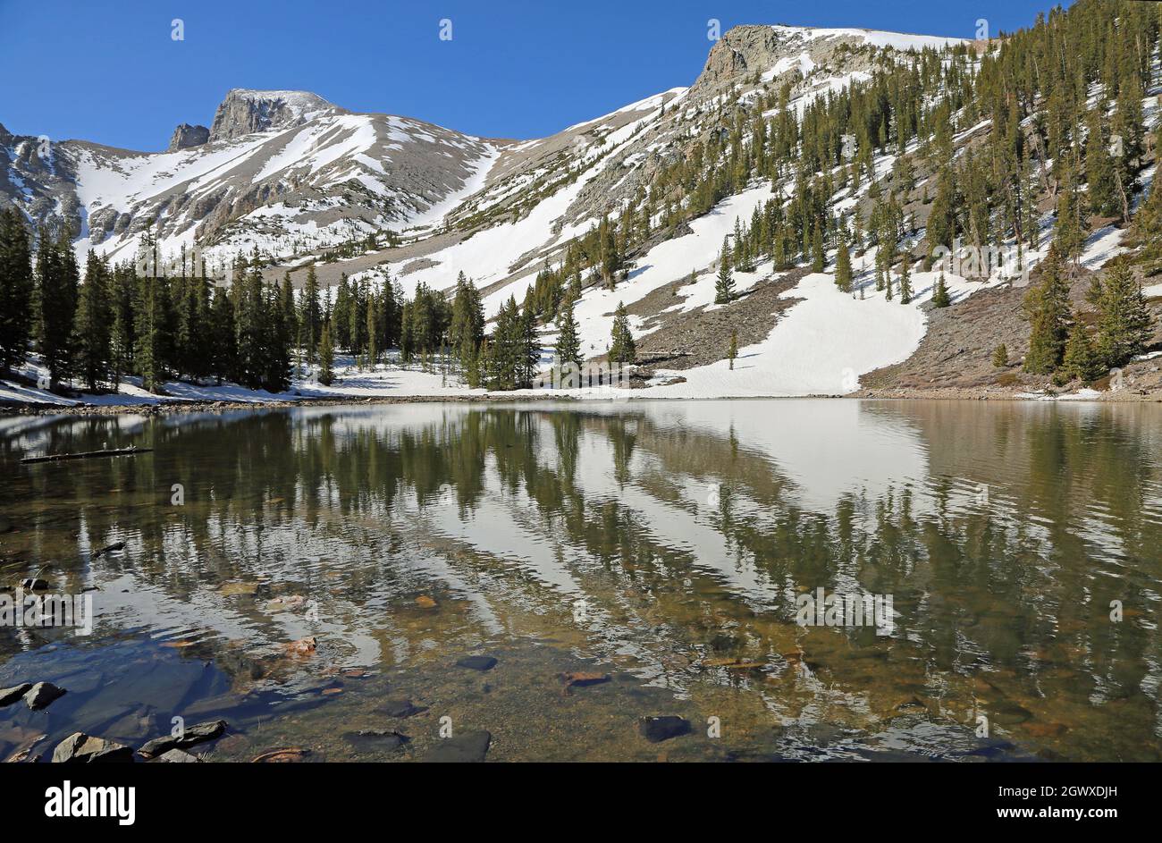 Réflexion au lac Stella - Parc national de Great Basin, Nevada Banque D'Images