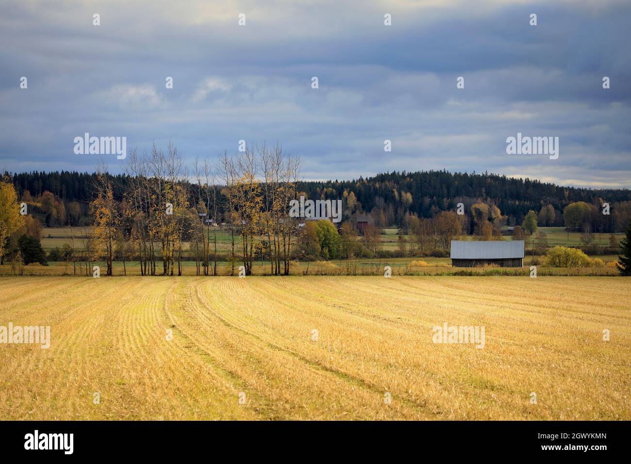 Nuageux mi-octobre après-midi dans la campagne finlandaise avec champs récoltés et tremble et une grange. Tammela, Finlande. Banque D'Images