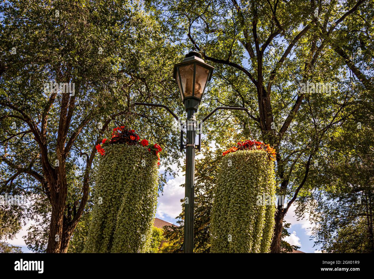 Pots de fleurs suspendus à un poteau de lampe Banque D'Images