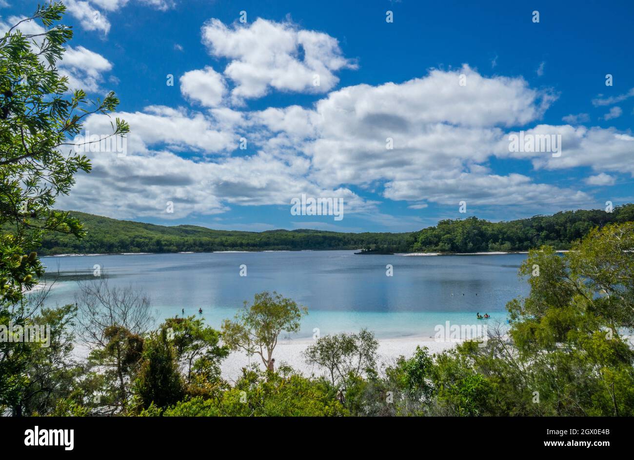 Lac McKenzie, un lac d'eau douce sur l'île Fraser, la plus grande île de sable au monde, région de la côte du Fraser, parc national Great Sandy, Wide Bay–Burnett r Banque D'Images