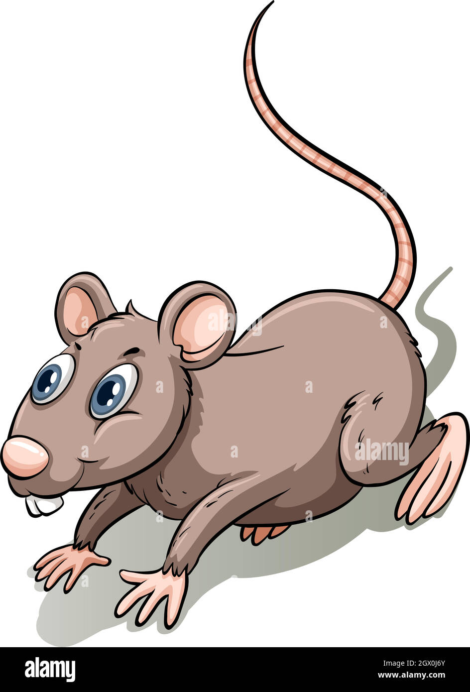 Rat brun Illustration de Vecteur