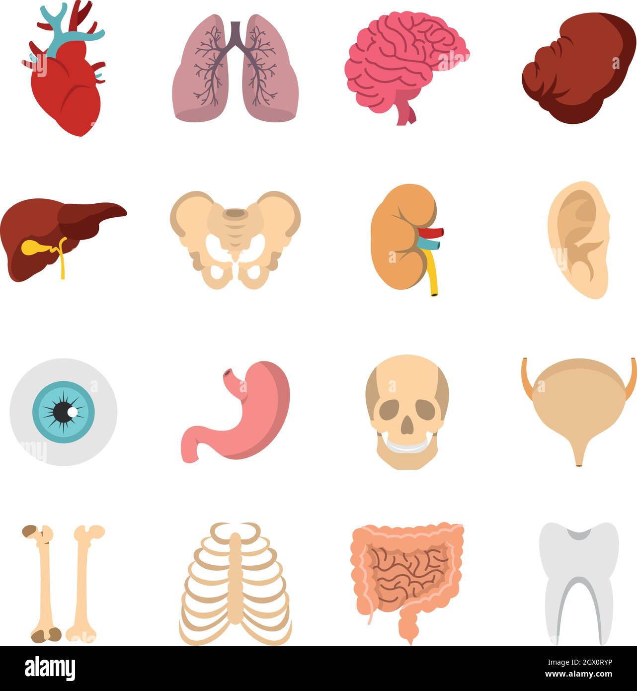Ensemble des organes humains télévision icons Illustration de Vecteur