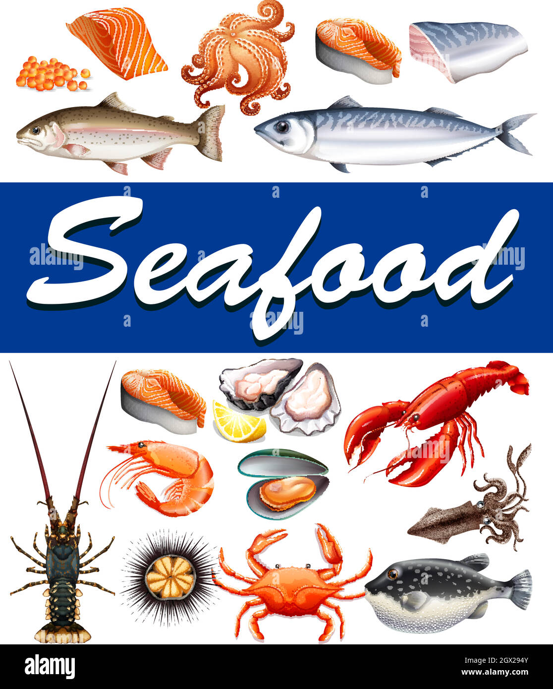 Différents types de fruits de mer et de texte Illustration de Vecteur