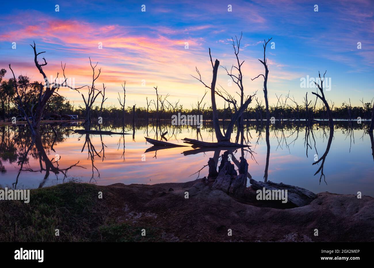 Magnifique coucher de soleil encadré par des arbres morts silhouettés sur le lagon naturel de source sur une station près de Barcaldine dans l'ouest du Queensland en Australie. Banque D'Images