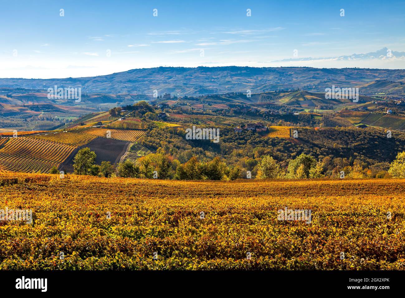 Vue sur les vignobles et les collines d'automne colorés sur fond bleu ciel dans le Piémont, dans le nord de l'Italie. Banque D'Images