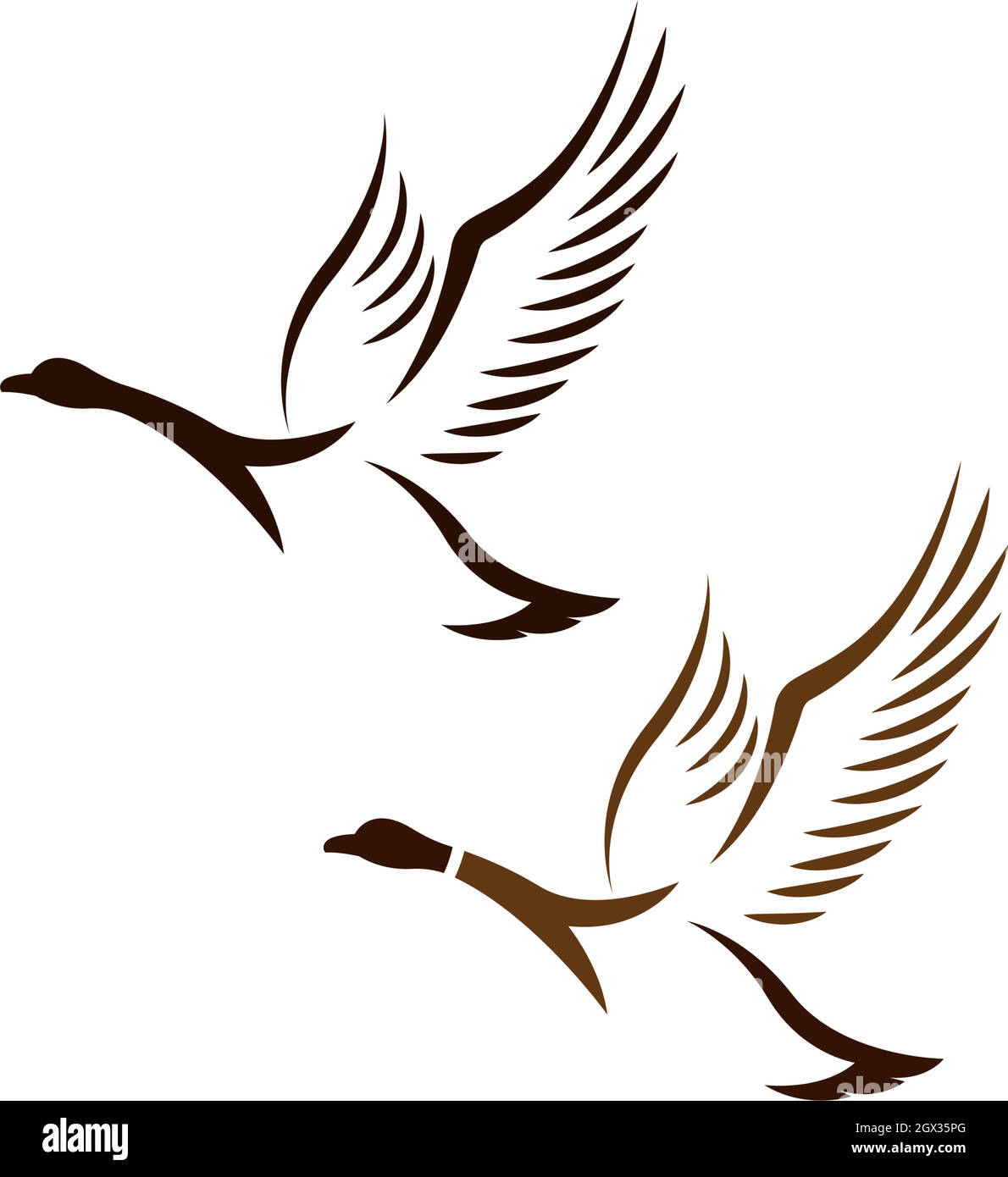 Illustration du modèle de conception du logo Duck Icon Illustration de Vecteur