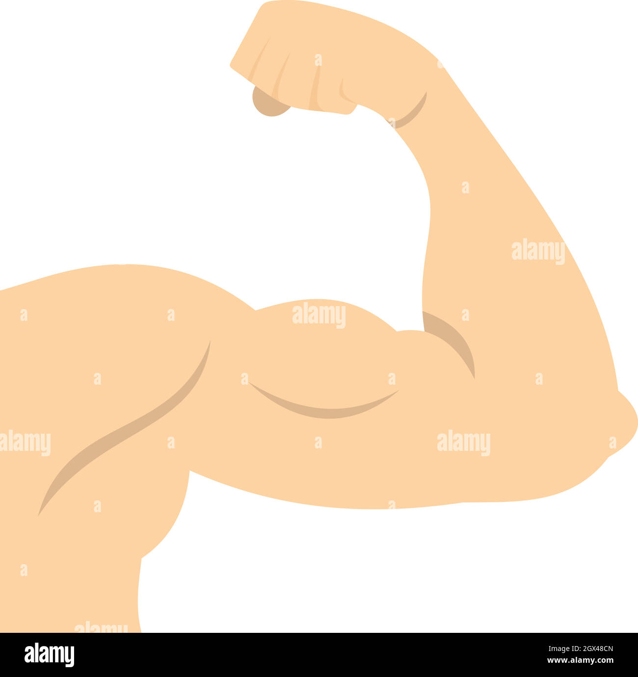 Muscle biceps montrant du bras, l'icône de style plat Illustration de Vecteur
