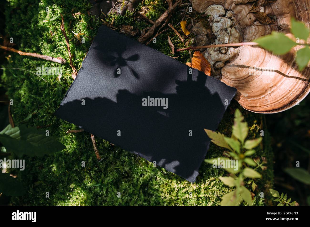 Maquette de papier artisanale noire sur fond de nature magique de la forêt Banque D'Images