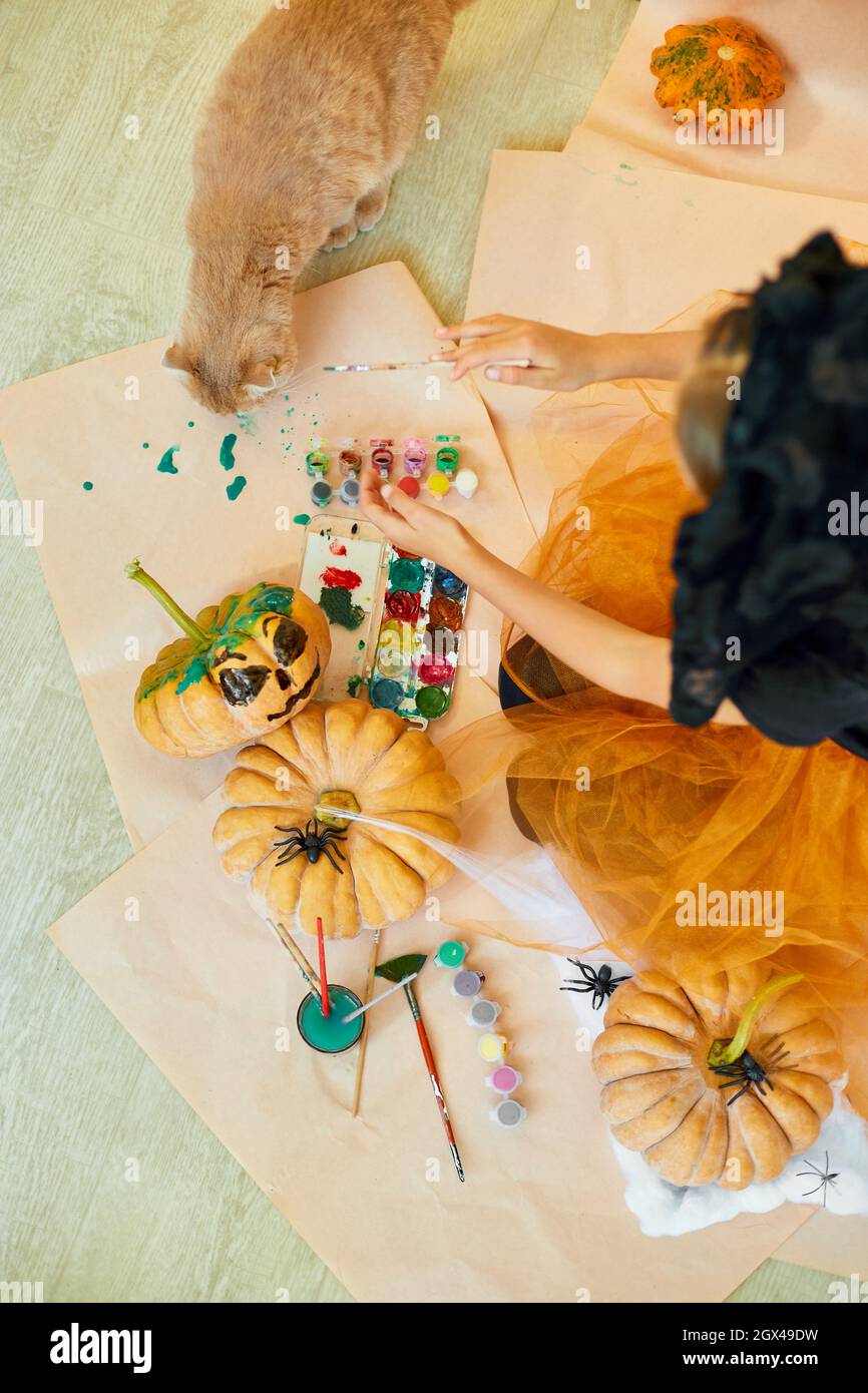 Joyeux Enfant Decorant Une Citrouille A La Maison Avec Chat Petite Fille Dessin Visage Sur Orange Halloween Jack O Lantern Citrouille Concept De Decoration De Vacances Photo Stock Alamy