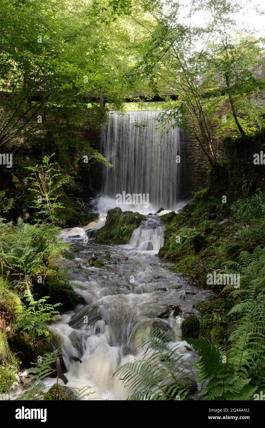 Pont Felin Gat Waterfall fait partie du programme de restauration de régence jardin botanique national du pays de Galles Llanarthney Carmarthenshire pays de Galles Cymru Royaume-Uni Banque D'Images