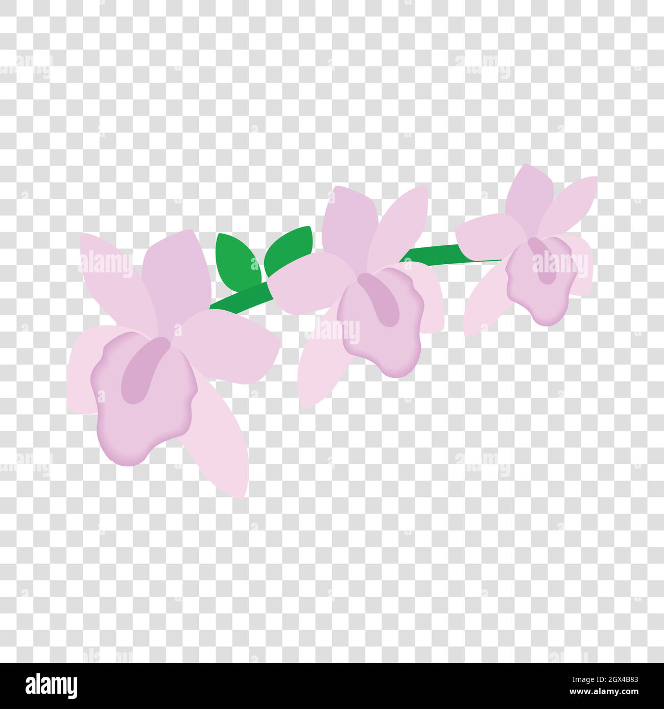 Icône isométrique orchidée rose Illustration de Vecteur