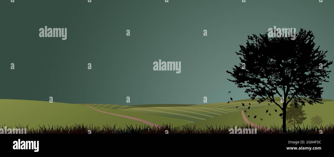 la disparition et la chute des feuilles d'automne. collines, champs et routes de campagne Banque D'Images