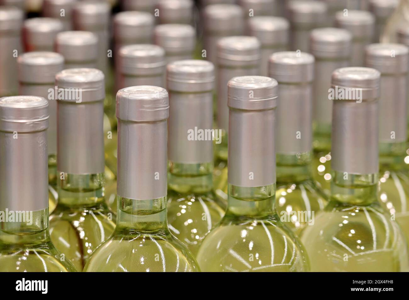 Bouteilles de vin blanc en rangée, mise au point sélective. Magasin de spiritueux, production de vin Banque D'Images