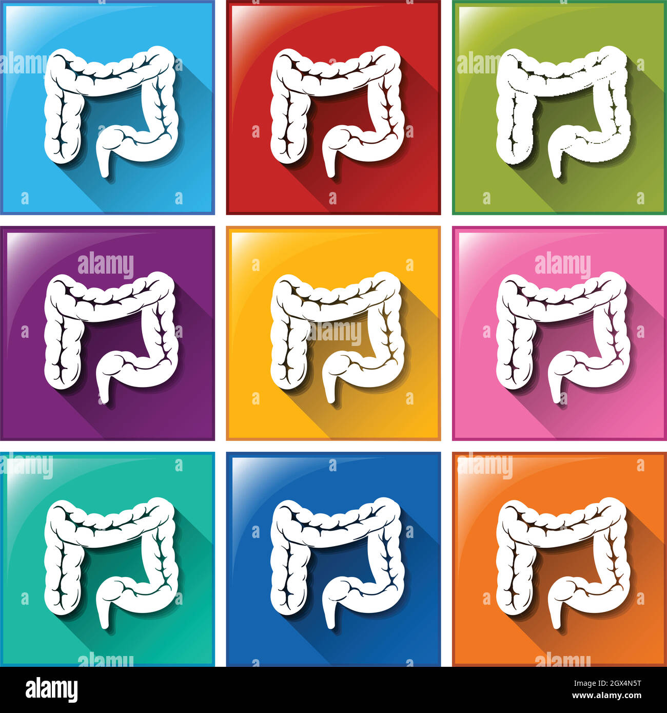 Boutons avec organes internes Illustration de Vecteur