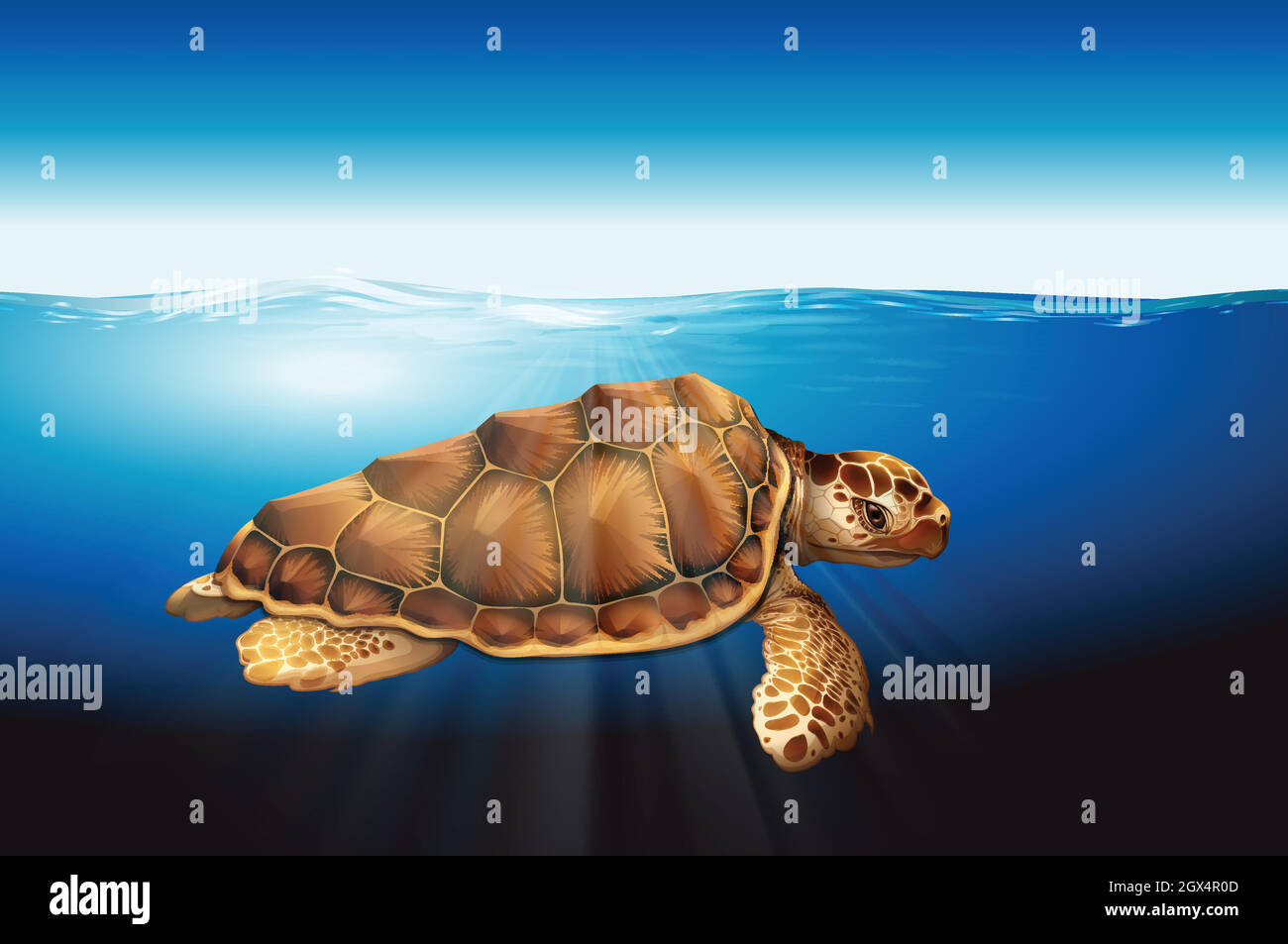 Une tortue de mer dans l'eau Illustration de Vecteur