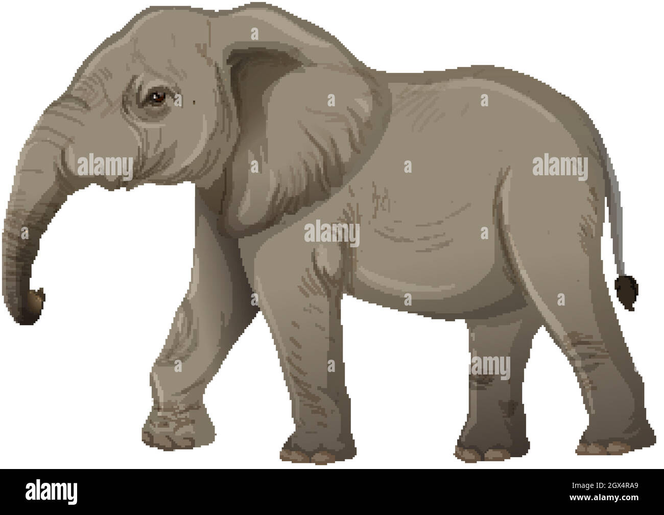 Éléphant adulte sans ivoire, style dessin animé sur fond blanc Illustration de Vecteur