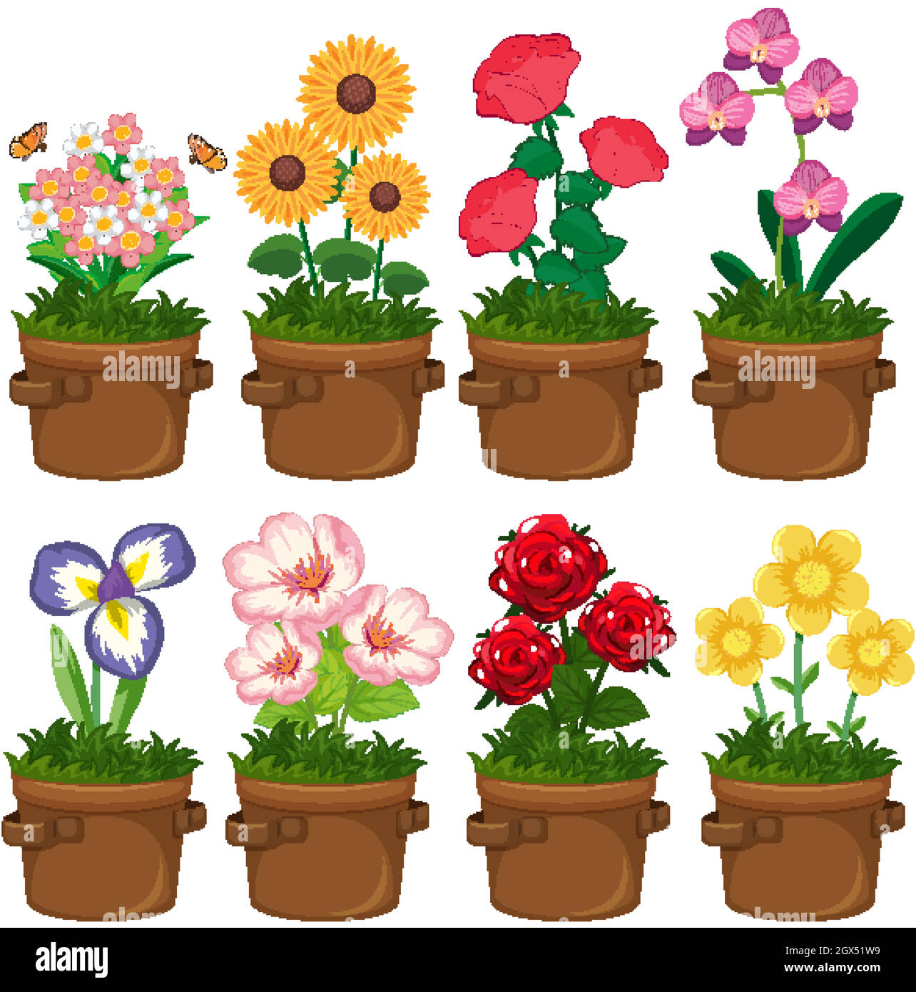 Belles fleurs dans le jardin sur fond blanc Illustration de Vecteur