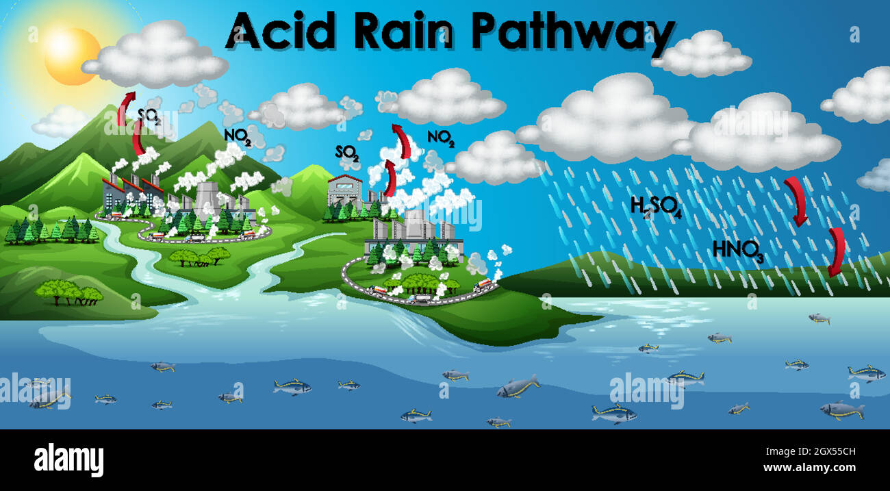 Acid rain pathway illustration Banque de photographies et d’images à ...