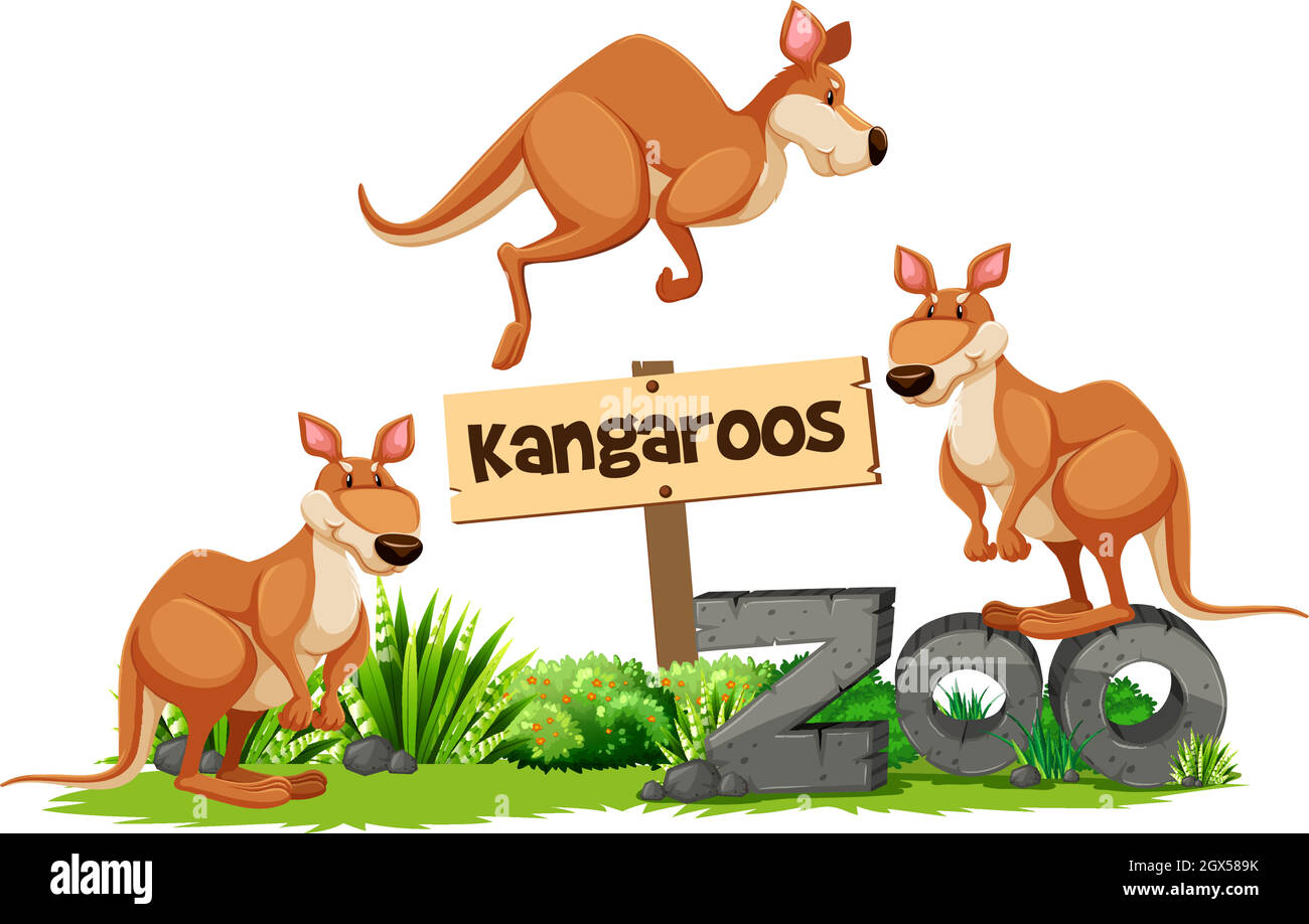 Trois kangourous au panneau du zoo Illustration de Vecteur