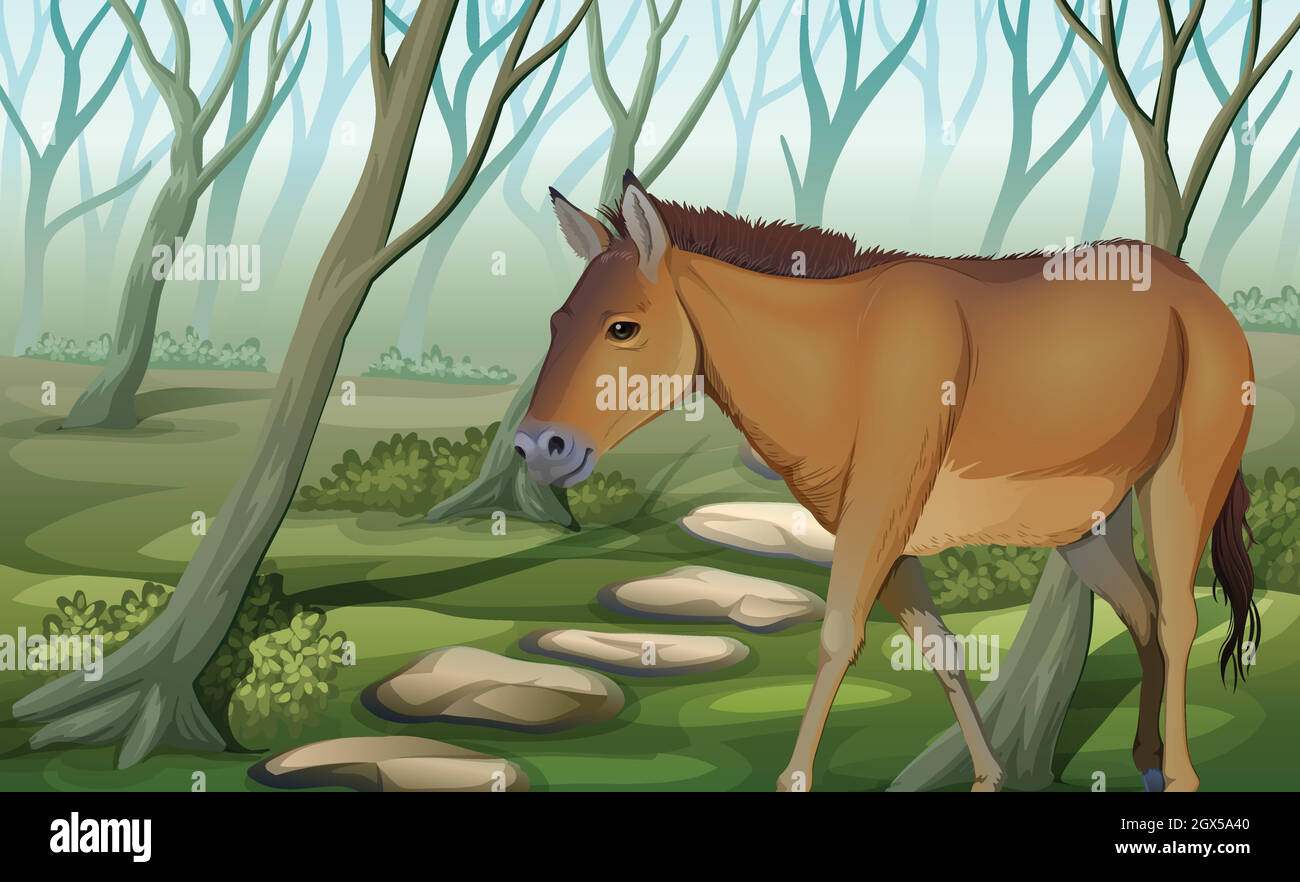 Un cheval à la forêt Illustration de Vecteur