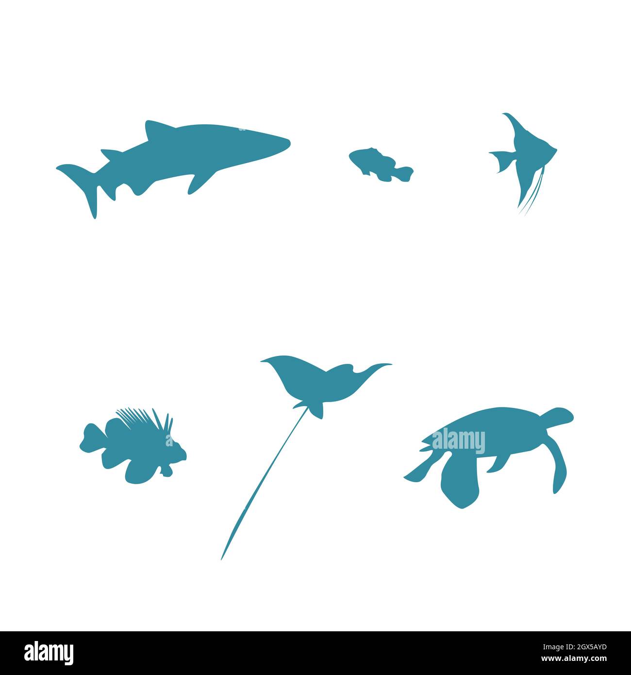 Turtle clip art Banque d'images vectorielles - Alamy