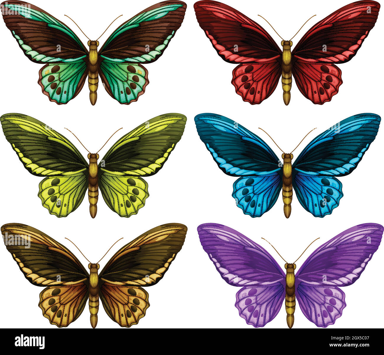 Papillons monarques dans six ailes de couleur différente Illustration de Vecteur