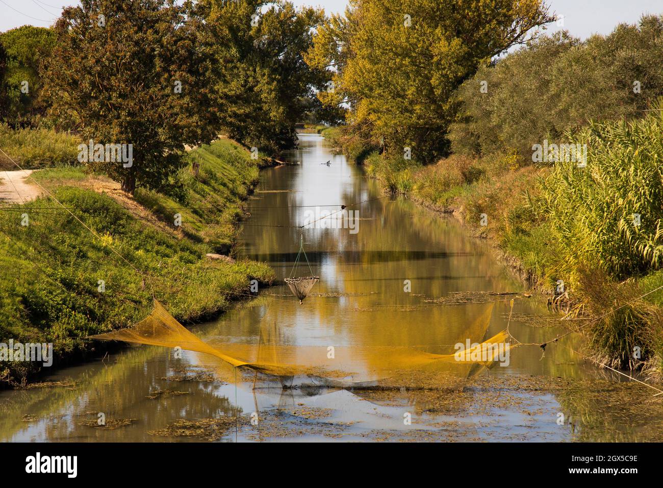 installation de filets de pêche dans un chenal en automne Banque D'Images