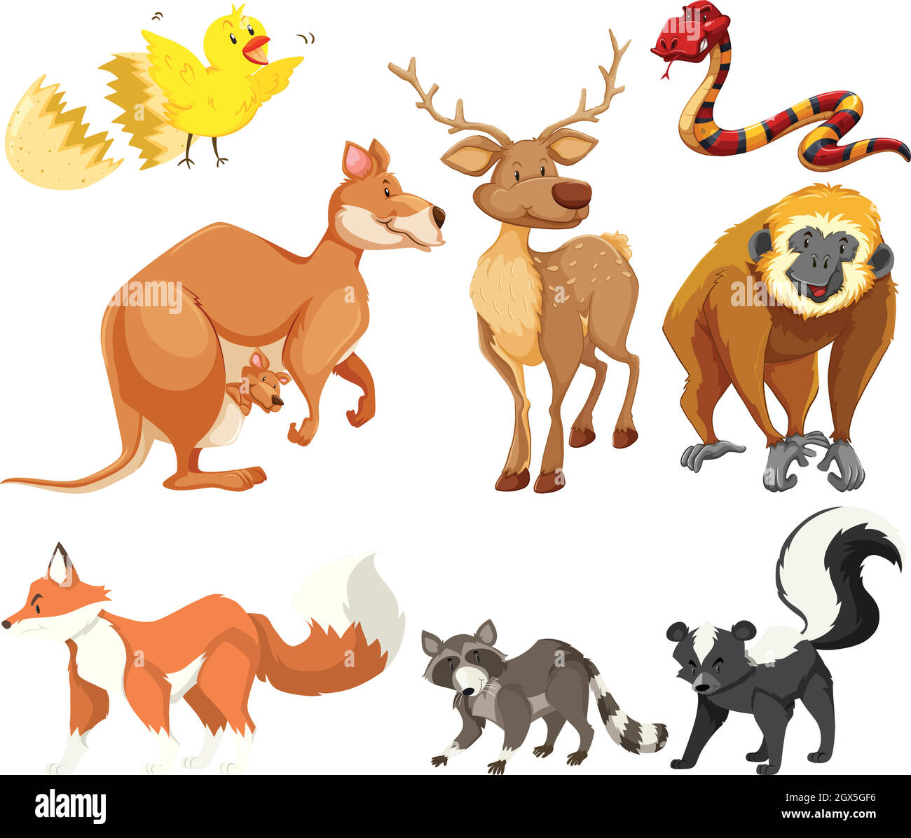 Différents types d'animaux Illustration de Vecteur