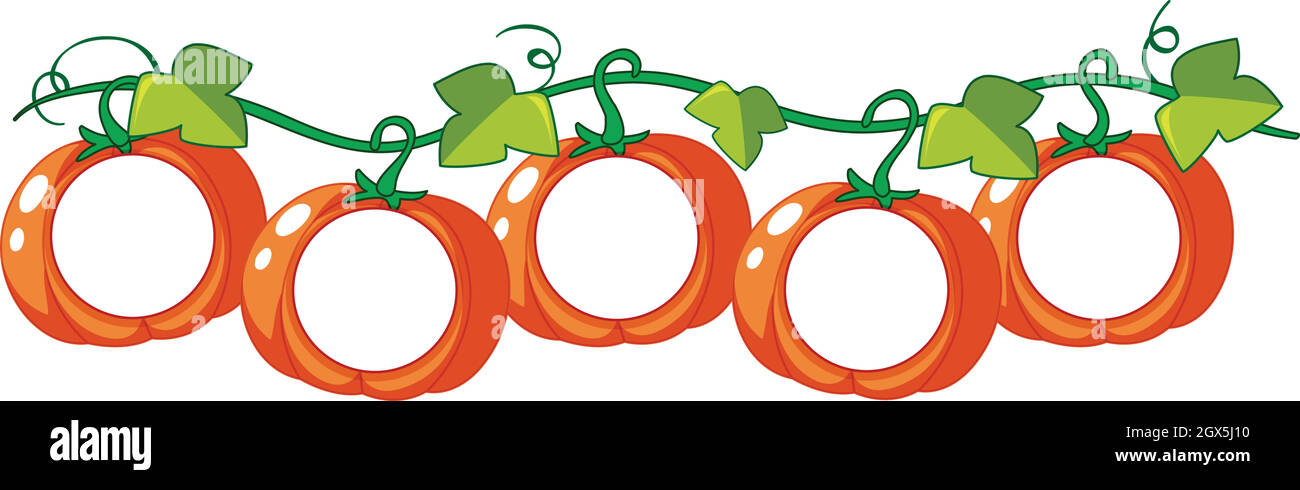 Citrouilles sur vigne avec espace d'écriture Illustration de Vecteur