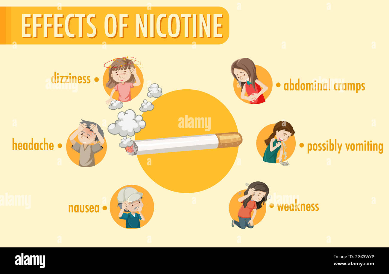 Infographie sur les effets de la nicotine Illustration de Vecteur
