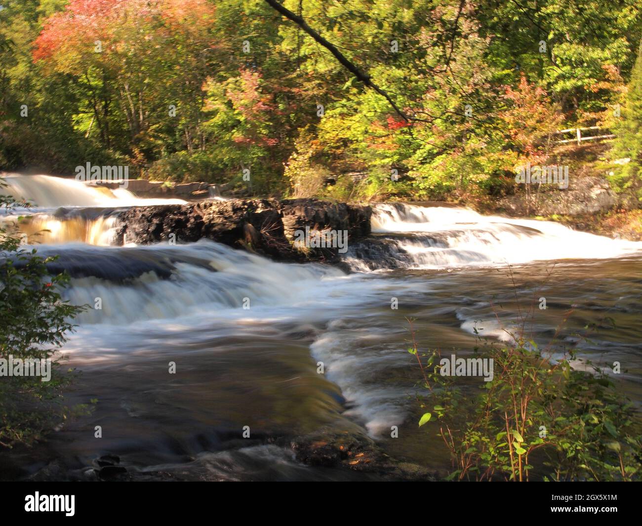 Shohola Falls, dans l'est de la Pennsylvanie, a vu des cascades à travers les rochers et la forêt. Banque D'Images