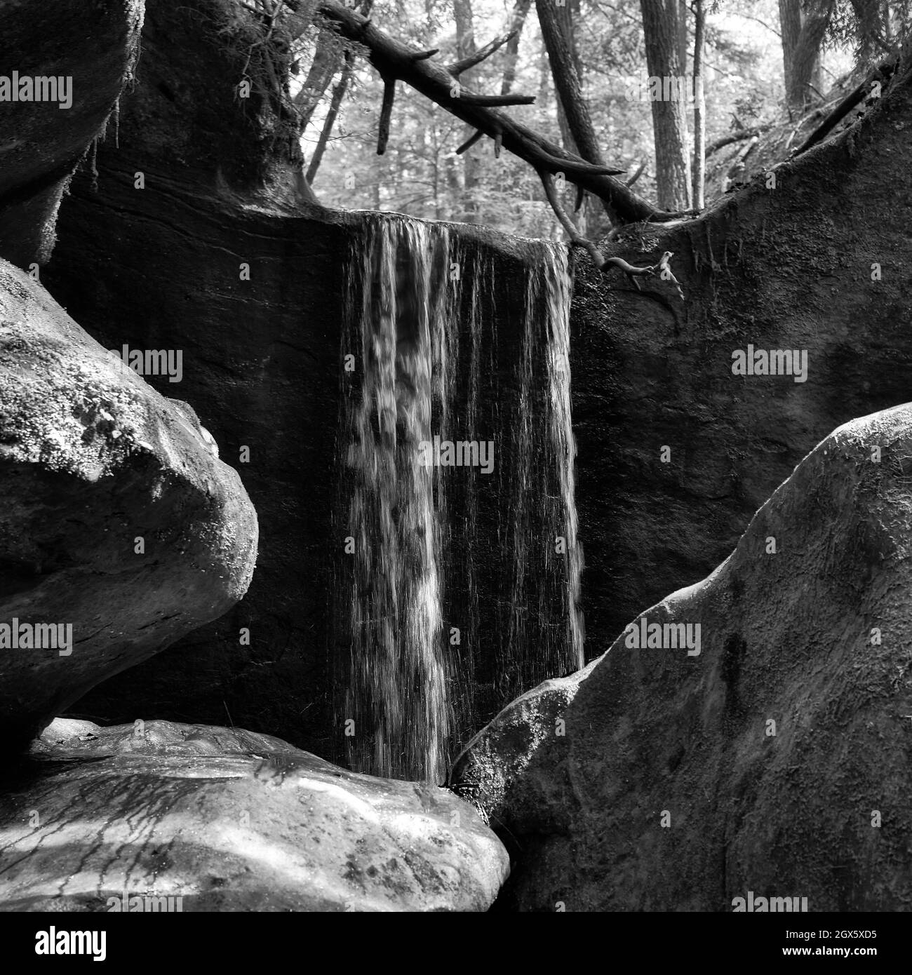 Il y a quelques cascades à découvrir tout en explorant Dismals Canyon dans l'Alabama. Banque D'Images