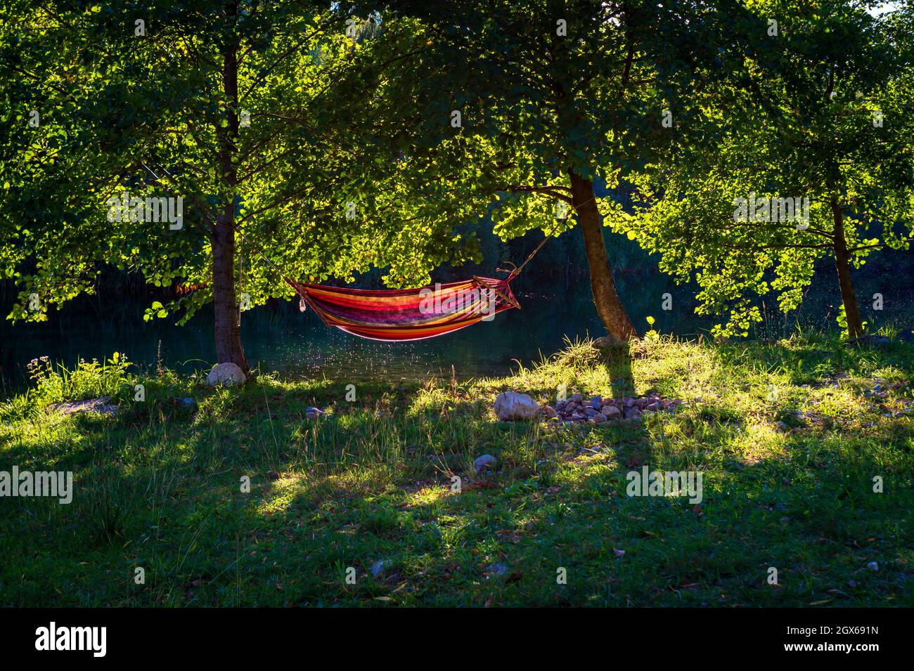 hamac dans la nature Banque D'Images