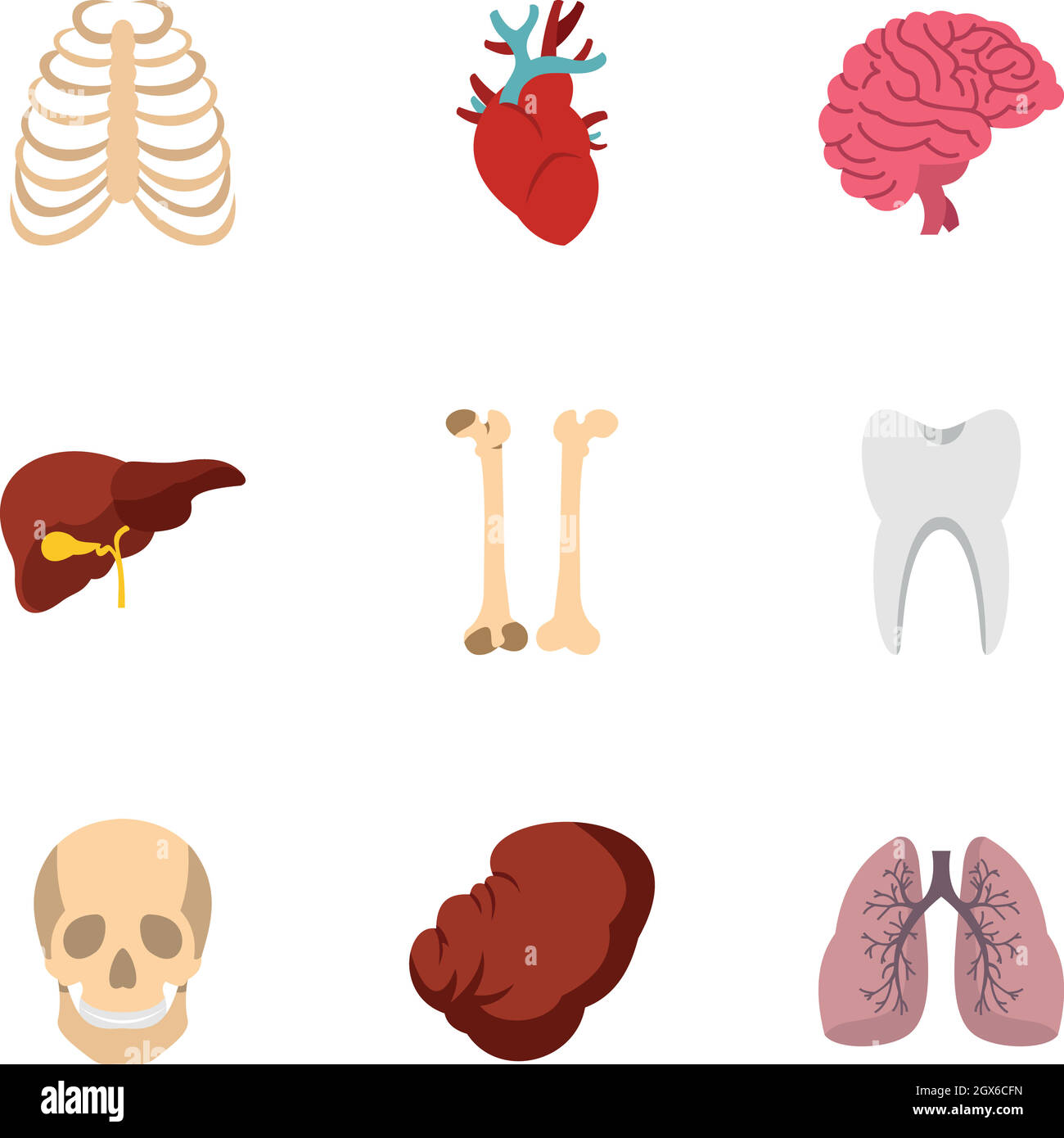 Ensemble d'icônes anatomiques des organes humains, style plat Illustration de Vecteur