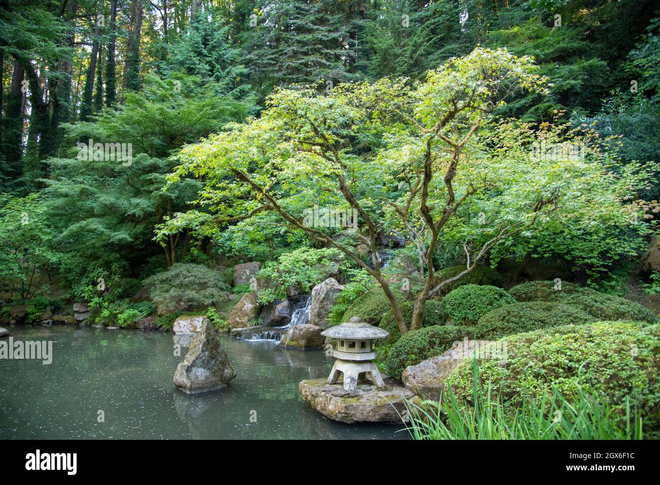 Jardin japonais avec de l'eau à albuquerque nouveau mexique Banque D'Images