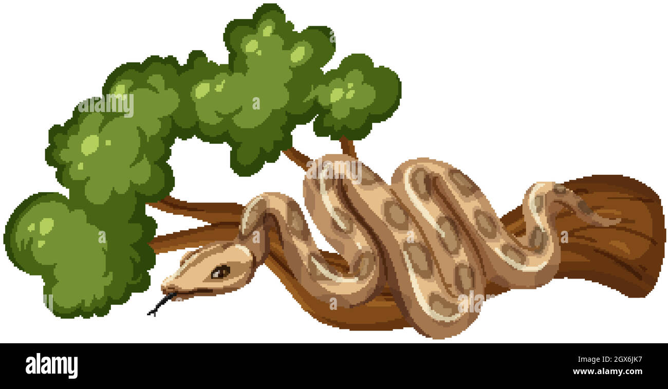 Serpent sur une branche isolée sur fond blanc Illustration de Vecteur