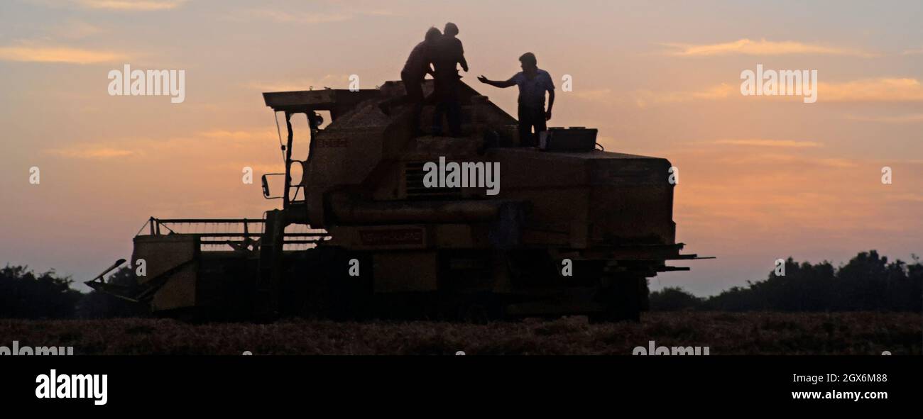 Vue d'archive Silhouette1984 d'une moissonneuse-batteuse en panne par les agriculteurs enlisé dans les champs de blé des années 1980 de récolte avec l'agriculteur et des hommes qui travaillent tard sur la machine pour reprendre la récolte en début de soirée crépuscule coucher de soleil ciel dans les années 80 archivistique Image Essex campagne Angleterre Royaume-Uni Banque D'Images