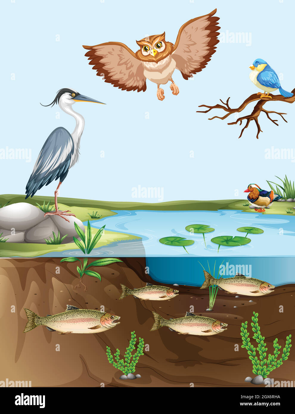 Oiseaux et poissons au bord de l'étang Illustration de Vecteur